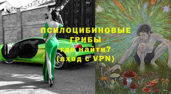 ешки Алексин