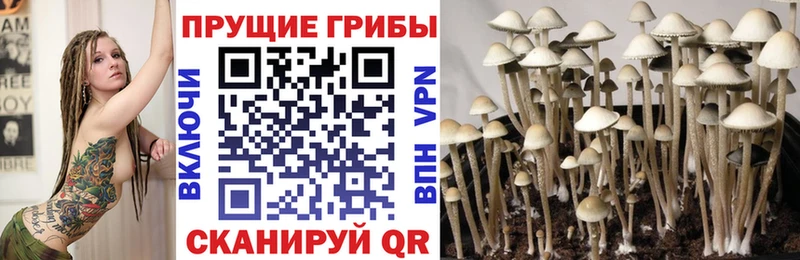 Псилоцибиновые грибы мухоморы  продажа наркотиков  блэк спрут как зайти  Туймазы 